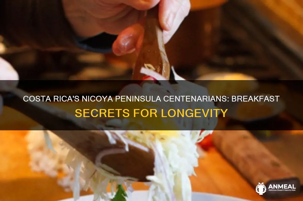 what does breakfast look in niera costa rica centenarian