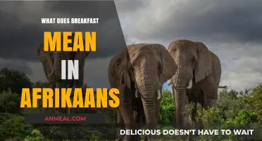 Ontbyt in Afrikaans: Unraveling the Meaning of Breakfast in South Africa