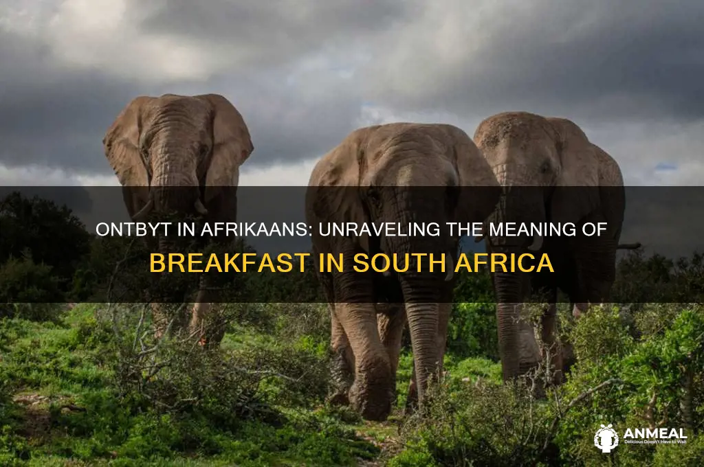 what does breakfast mean in afrikaans