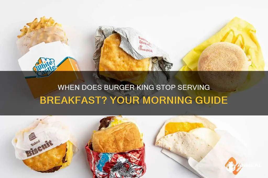what does burger king breakfast end