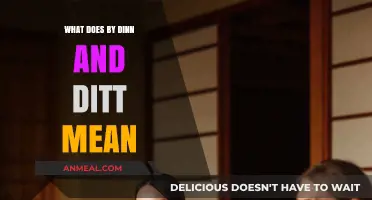 Understanding the Meaning Behind 'By Dinn and Ditt': A Comprehensive Guide