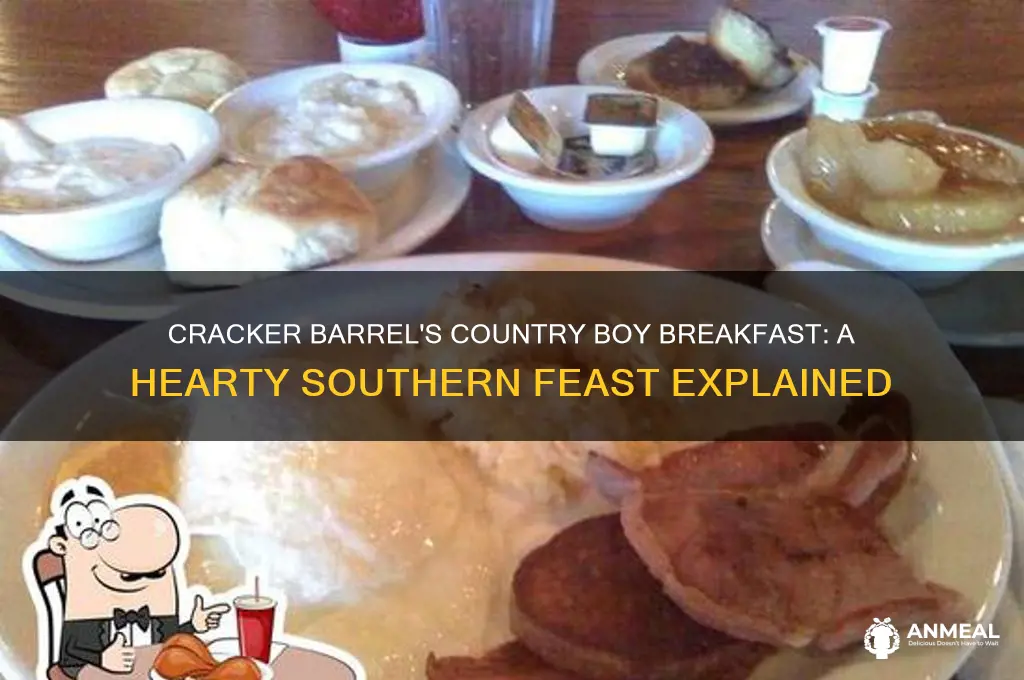 what does cracker barrels country boy breakfast come with