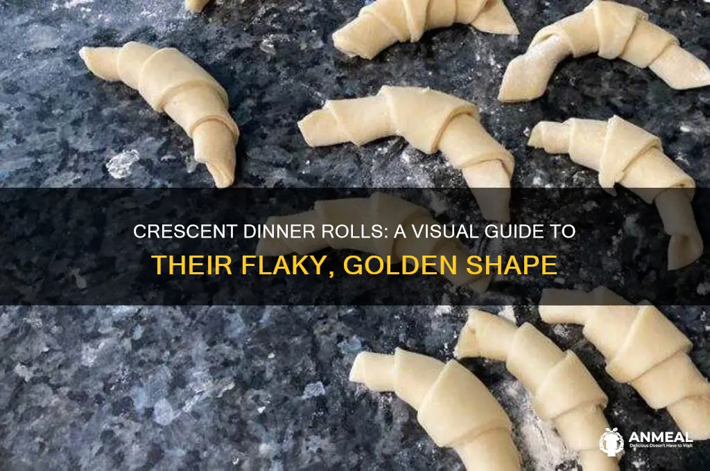 what does cresent dinner rolls look like