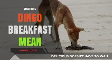 Unraveling the Mystery: What Does 'Dingo Breakfast' Really Mean?