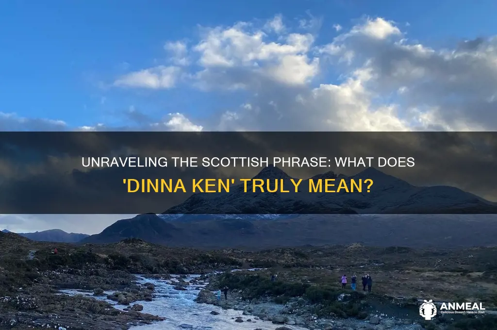 what does dinna ken mean