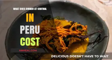 Exploring Central Peru: Dinner Costs and Culinary Experience Insights