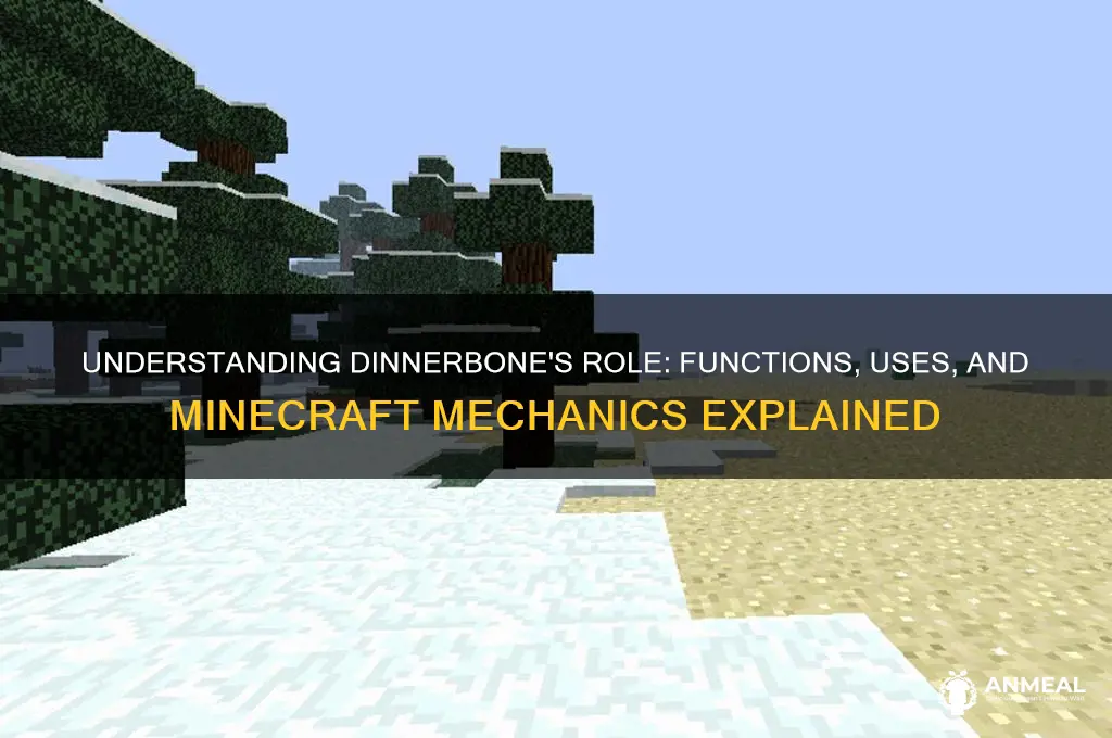 what does dinner bone do