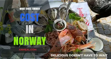 Exploring Norway's Dinner Costs: A Guide to Budget-Friendly Meals