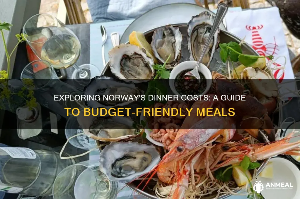 what does dinner cost in norway