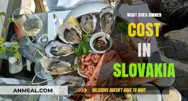 Exploring Slovakia's Dinner Costs: A Budget-Friendly Culinary Adventure