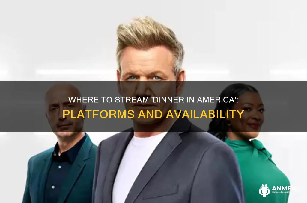 what does dinner in america stream on