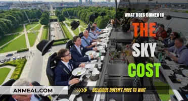 Dinner in the Sky Cost: Exploring the Price of a Sky-High Experience
