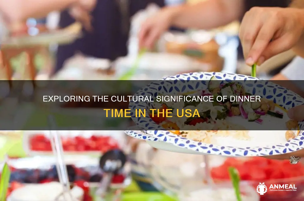 what does dinner time mean in usa