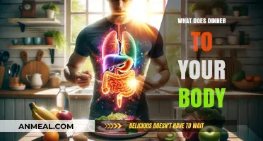 How Dinner Fuels Your Body: Digestion, Energy, and Health Benefits