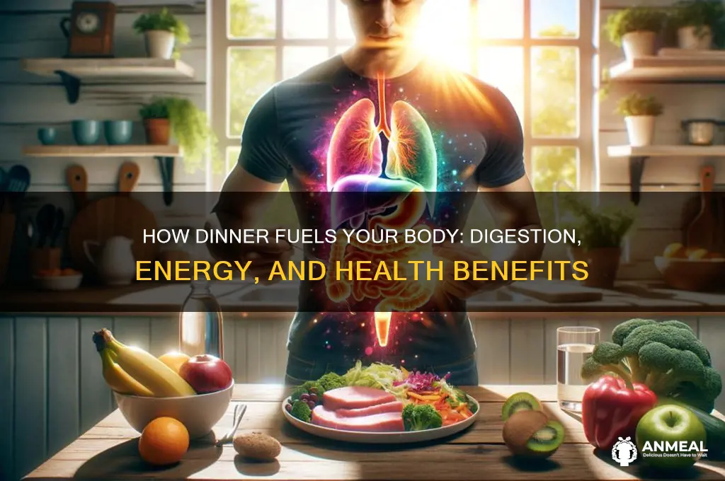 what does dinner to your body
