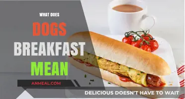 What Does 'Dog's Breakfast' Mean? Unraveling the Idiom's Origin and Usage