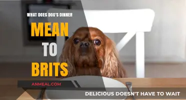 Dog's Dinner: Decoding the British Slang and Its Cultural Significance