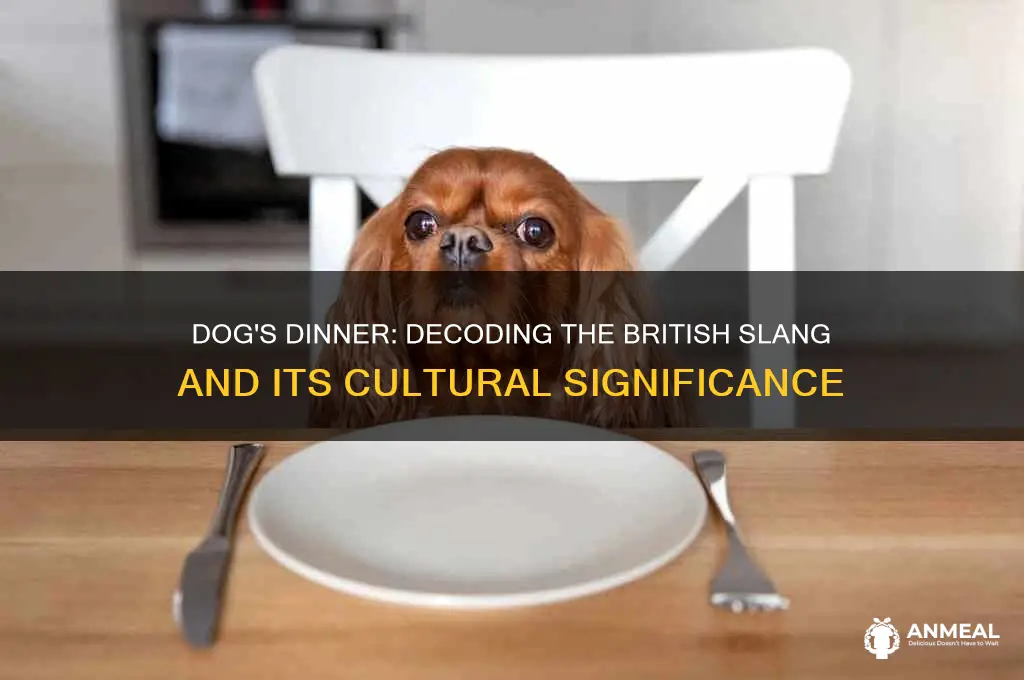 what does dog