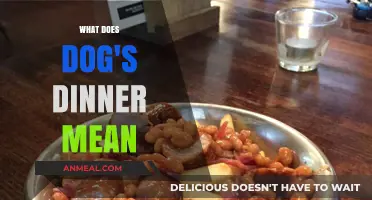 What Does 'Dog's Dinner' Mean? Unraveling the Idiom's Messy Origins