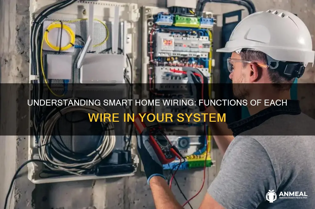 what does each wire do in a smart home dinner