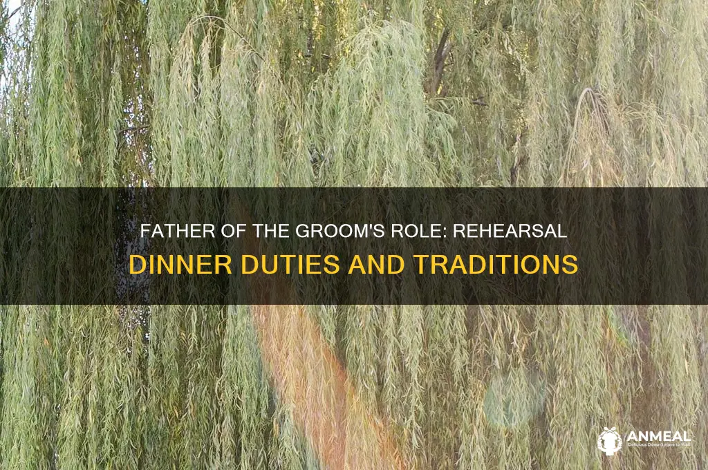 what does father of groom do at rehersal dinner