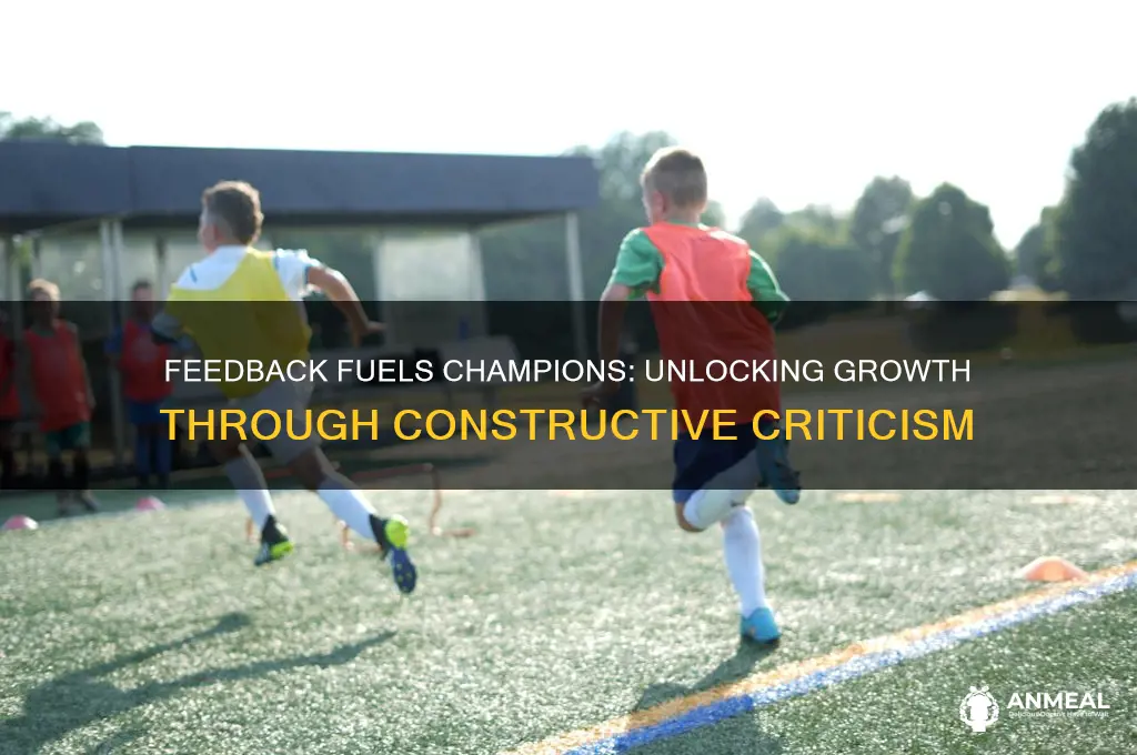 what does feedback is the breakfast of champions mean