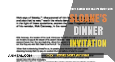 Gatsby's Blind Spot: Misreading Mrs. Sloane's Dinner Invitation Intentions