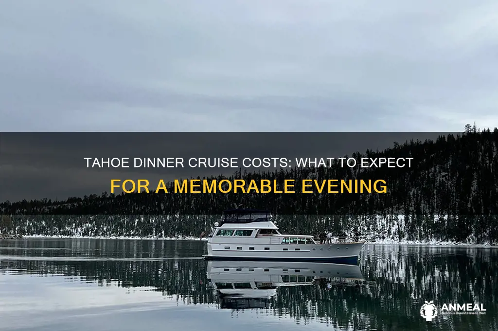 what does it cost for a dinner cruise on tahoe