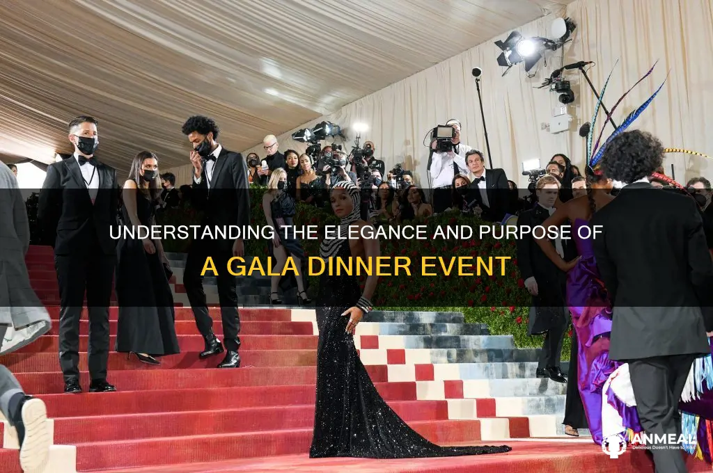 what does it mean by gala dinner