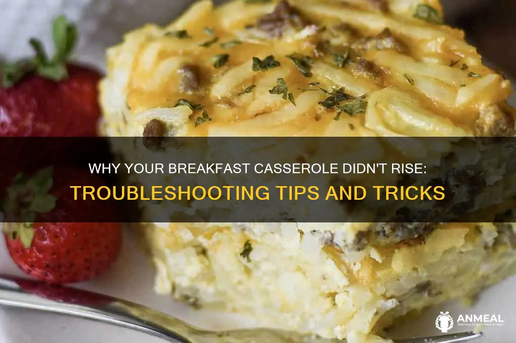 what does it mean if your breakfast caserole doesn