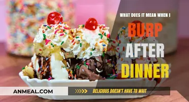 Why Burping After Dinner Happens: Causes and What It Means