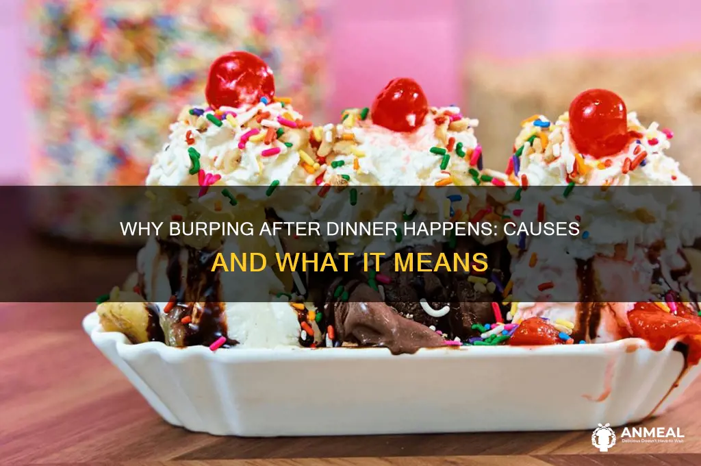 what does it mean when i burp after dinner