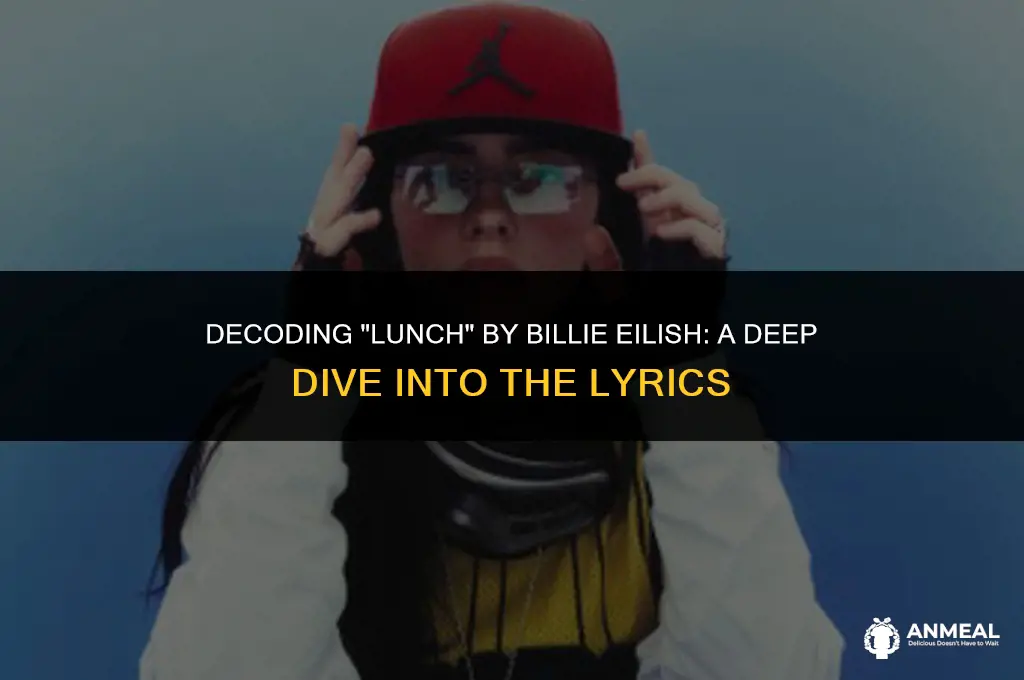 what does lunch by billie eilish mean