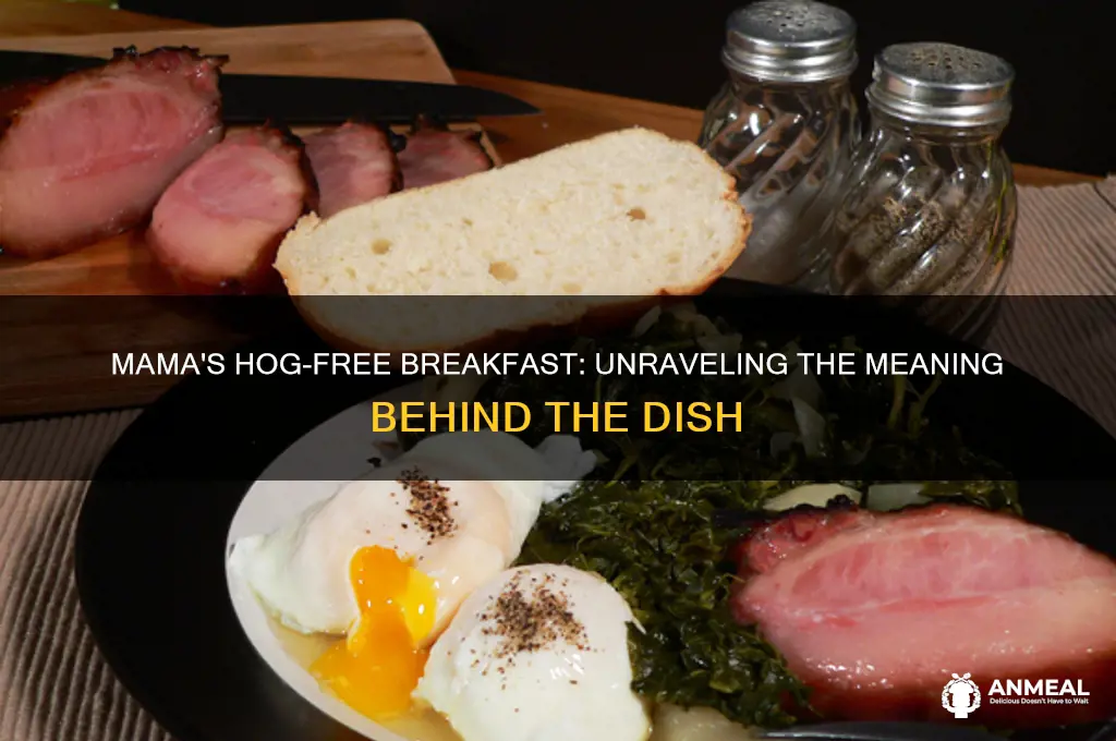what does mama cooked the breakfast with no hog meaning