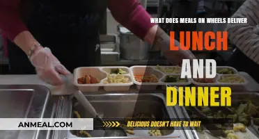 Meals on Wheels: Lunch and Dinner Delivery Explained