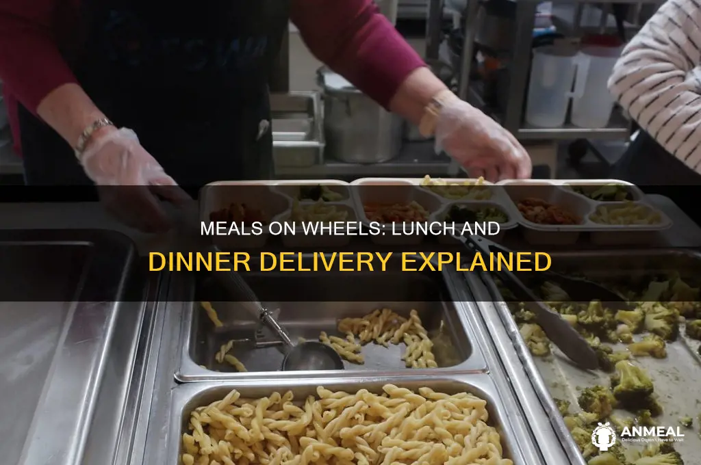 what does meals on wheels deliver lunch and dinner