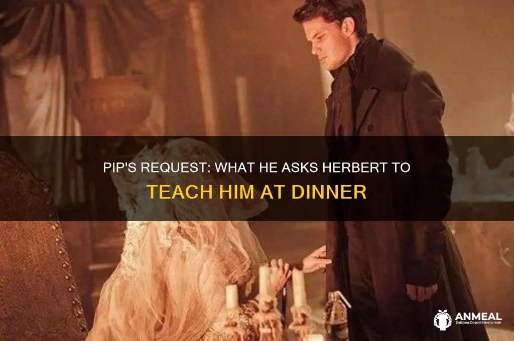 what does pip ask herbert to teach him at dinner