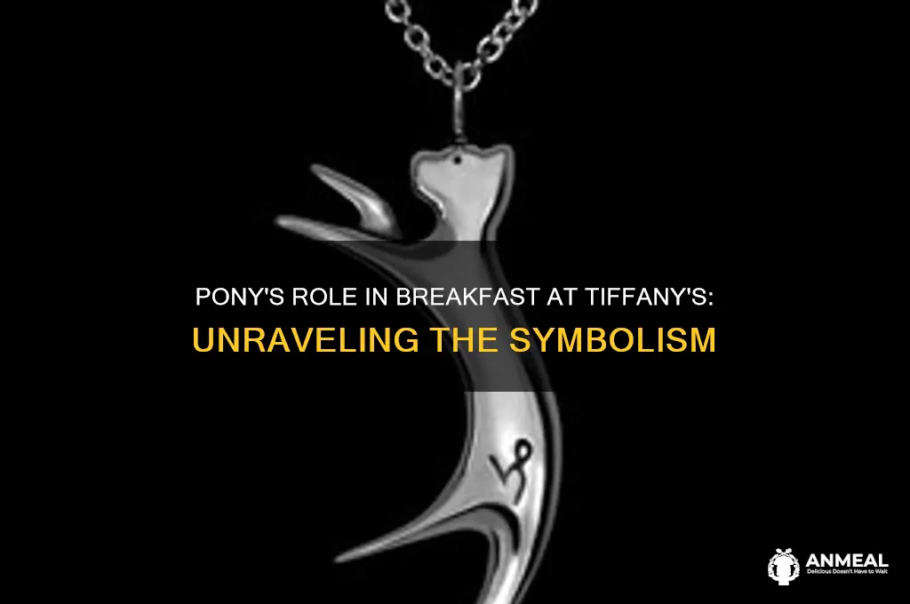 what does pony mean in breakfast at tiffany