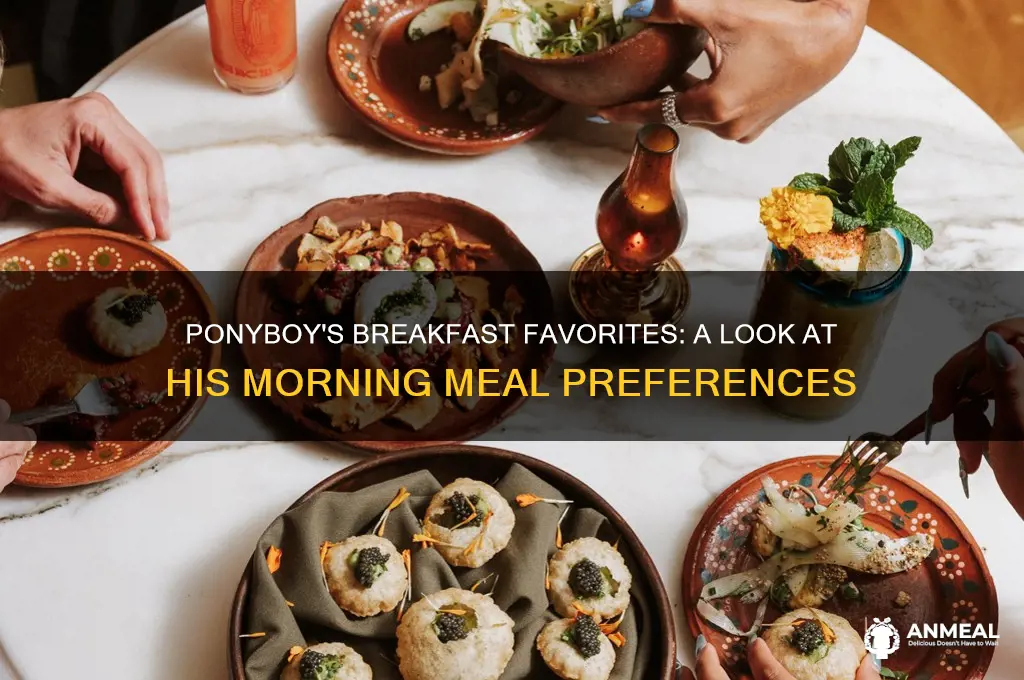 what does ponyboy like for breakfast