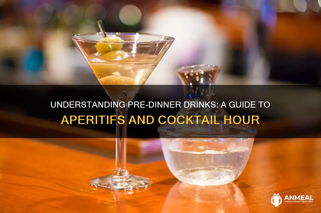 what does pre-dinner drinks mean