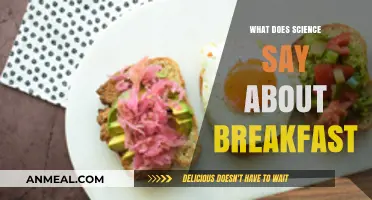 Breakfast's Role in Health: Insights from Scientific Research and Studies