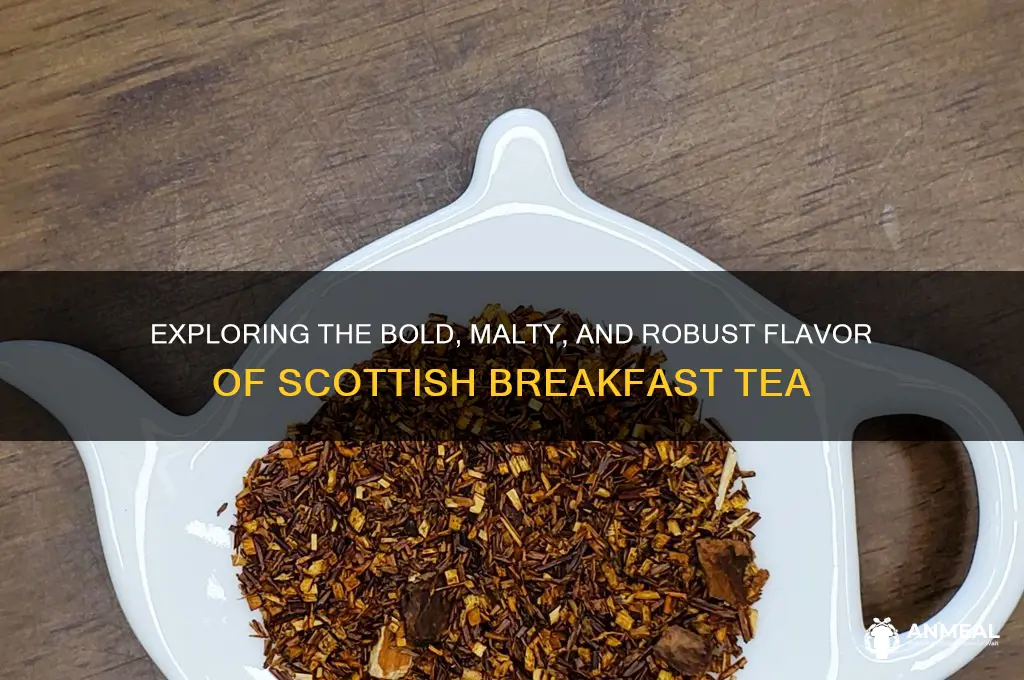 what does scottish breakfast tea taste like