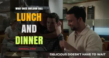 Sheldon's Unique Meal Names: Lunch and Dinner Explained