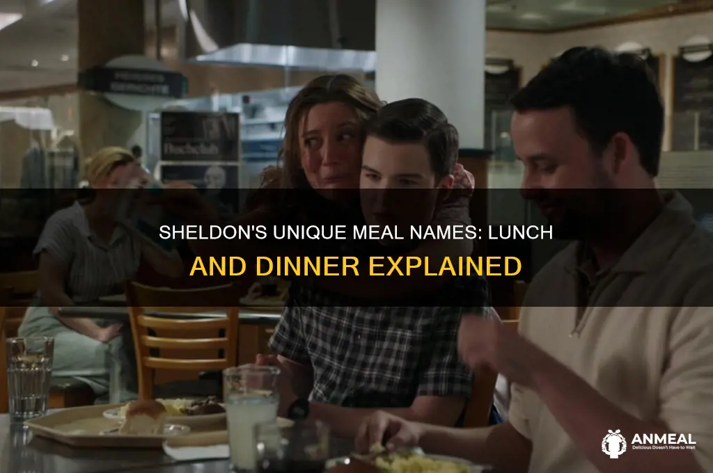 what does sheldon call lunch and dinner