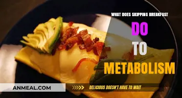 Skipping Breakfast: How It Impacts Your Metabolism and Energy Levels