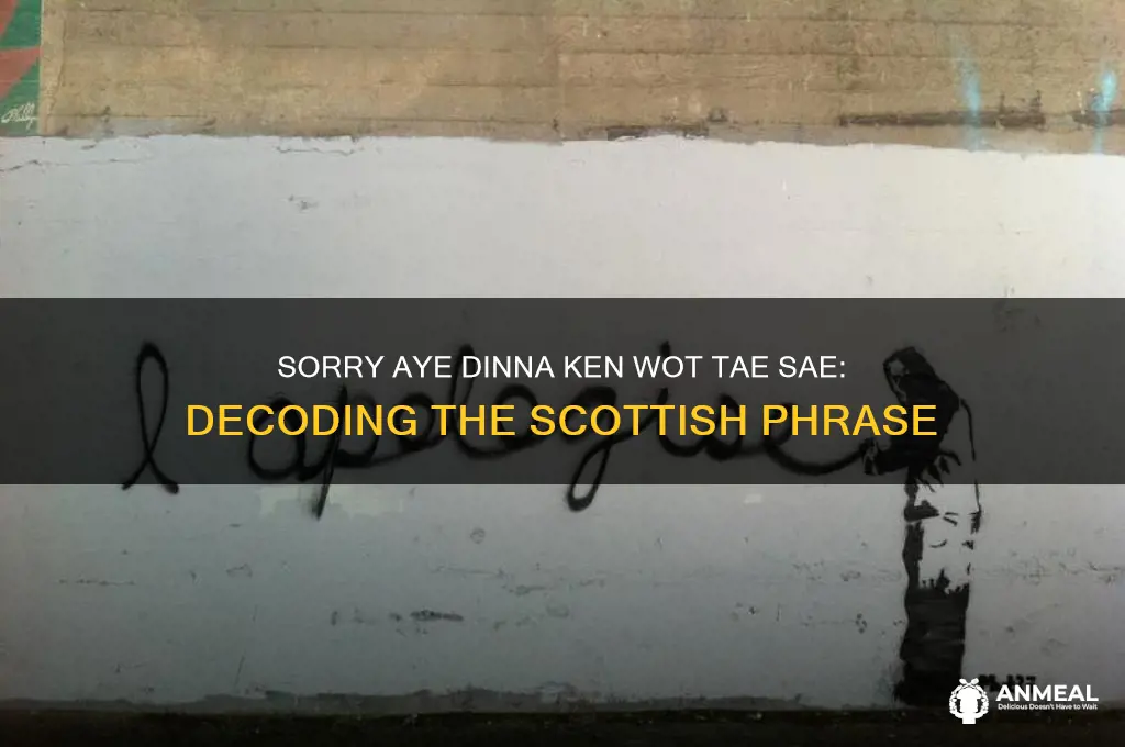 what does sorry aye dinna ken wot tae sae mean