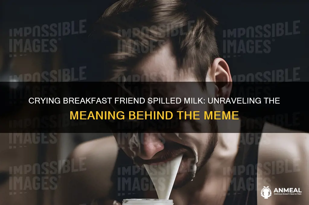 what does the crying breakfast friend spilt milk mean