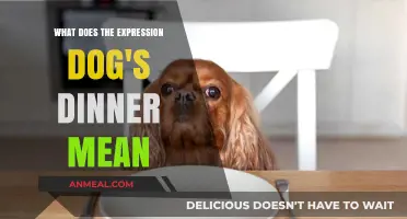 Understanding the British Idiom: What Does 'Dog's Dinner' Really Mean?