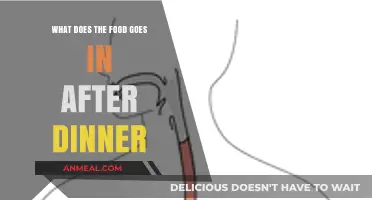 What Happens to Food After Dinner: Digestion's Surprising Journey Explained