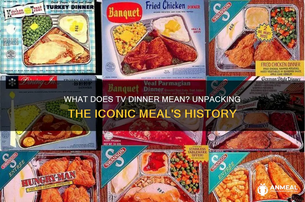 what does tv dinner mean